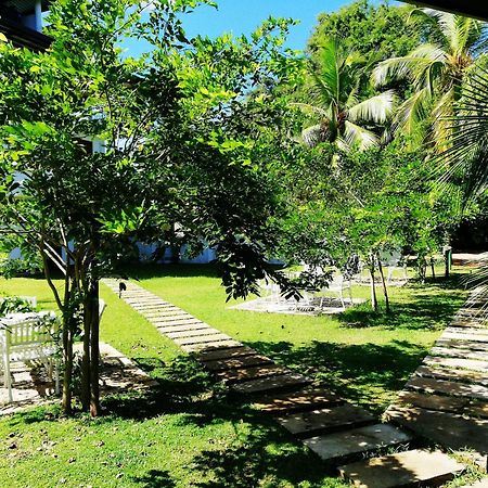 Rajarata Family Resort Anuradhápura Exteriér fotografie