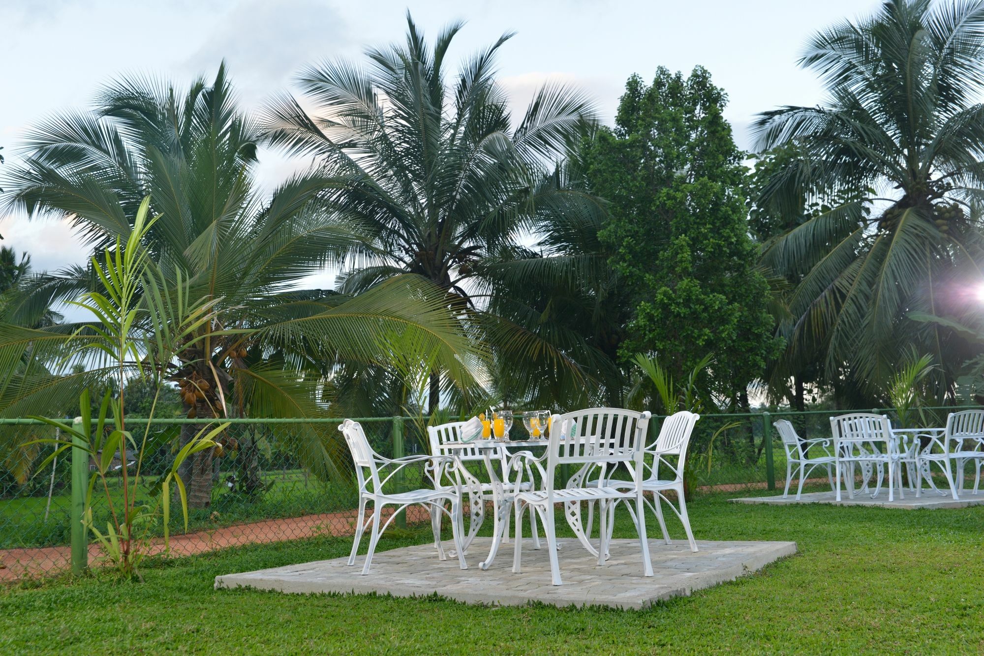Rajarata Family Resort Anuradhápura Exteriér fotografie